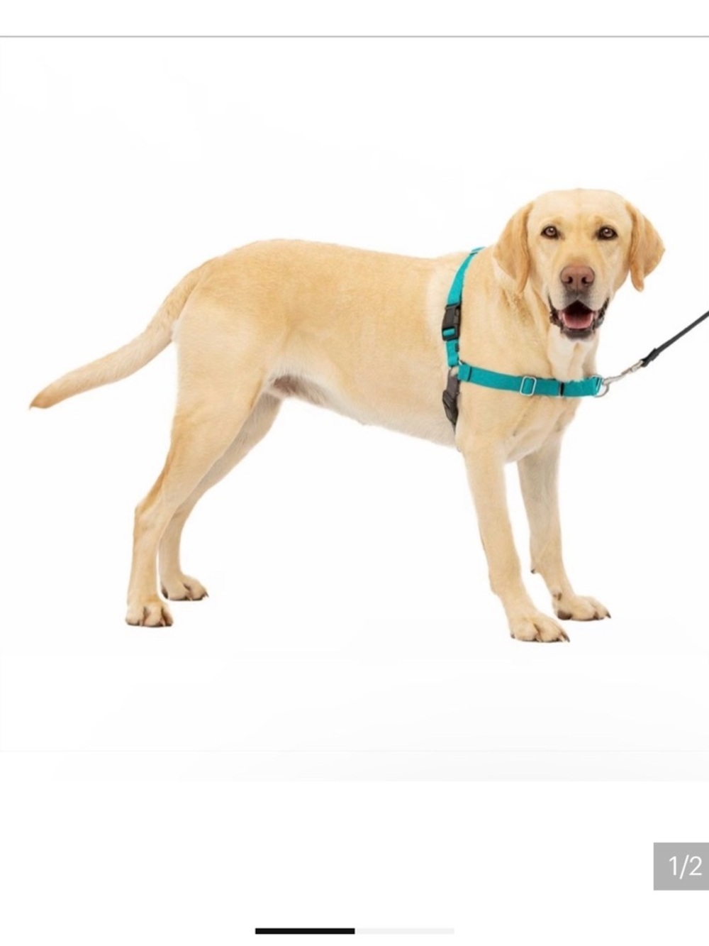 Pet safe easy walk harness